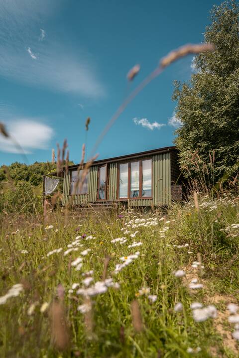 Tripsylvania Tiny House