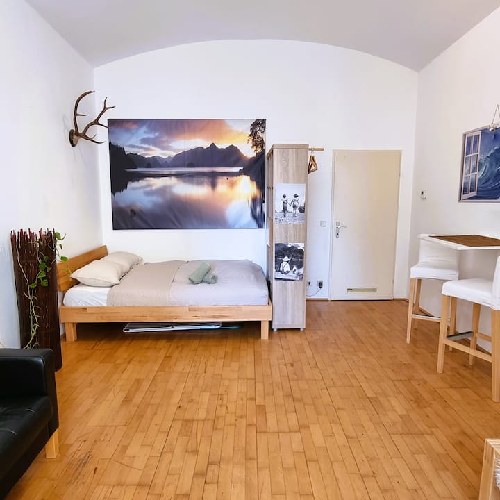 Central & Classic Vienna Style Apartment Apartments for Rent in