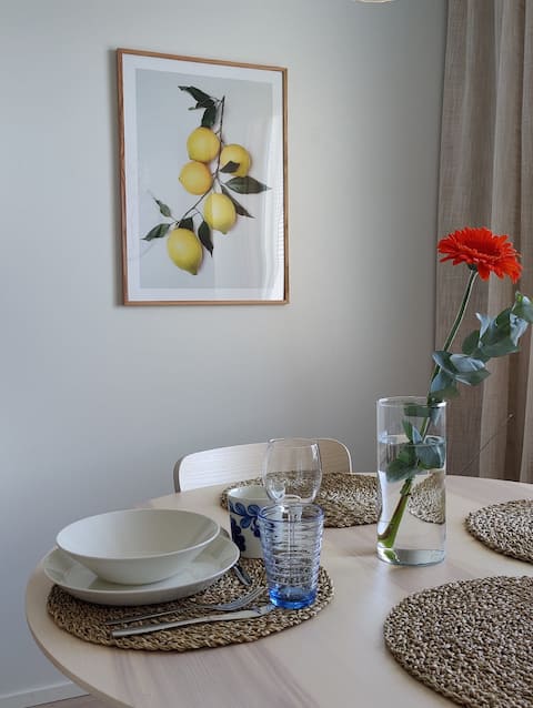 Spacious quiet studio in the heart of the city