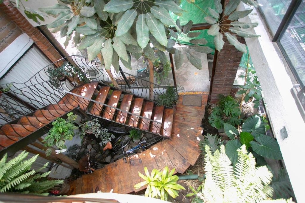A spiral wooden staircase is surrounded by lush greenery, which includes large leaves and various plants. Natural light filters through the upper levels, creating a serene atmosphere. The view captures the unique architectural design, blending indoor and outdoor elements harmoniously.