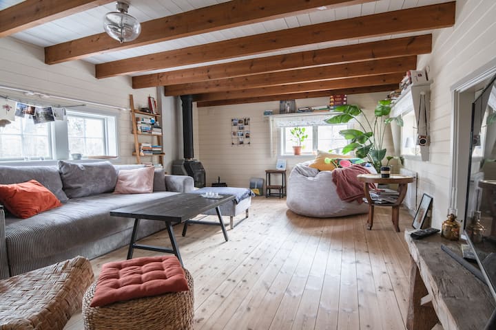 Მისაღები ოთახი გასაშლელი დივნით, დიდი დასაჯდომი ადგილით, ბუხრით, ტელევიზორით და აივანზე გასასვლელით.