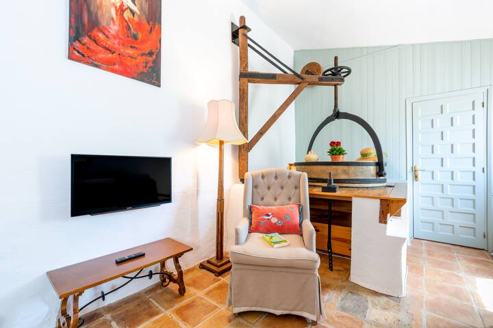 Beautiful Historical Mill, Private Pool And A/c - Alcaucín
