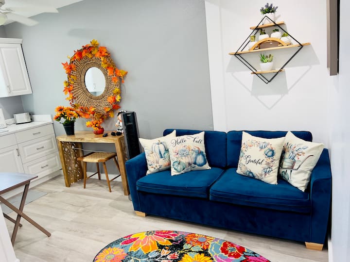 Lovely One Bedroom Apartment. - Kissimmee, FL