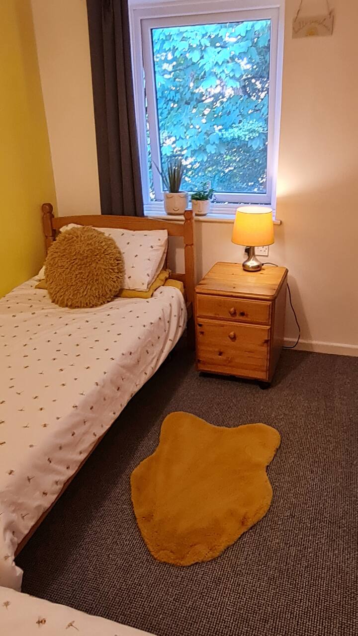 Chambre 2
lits jumeaux