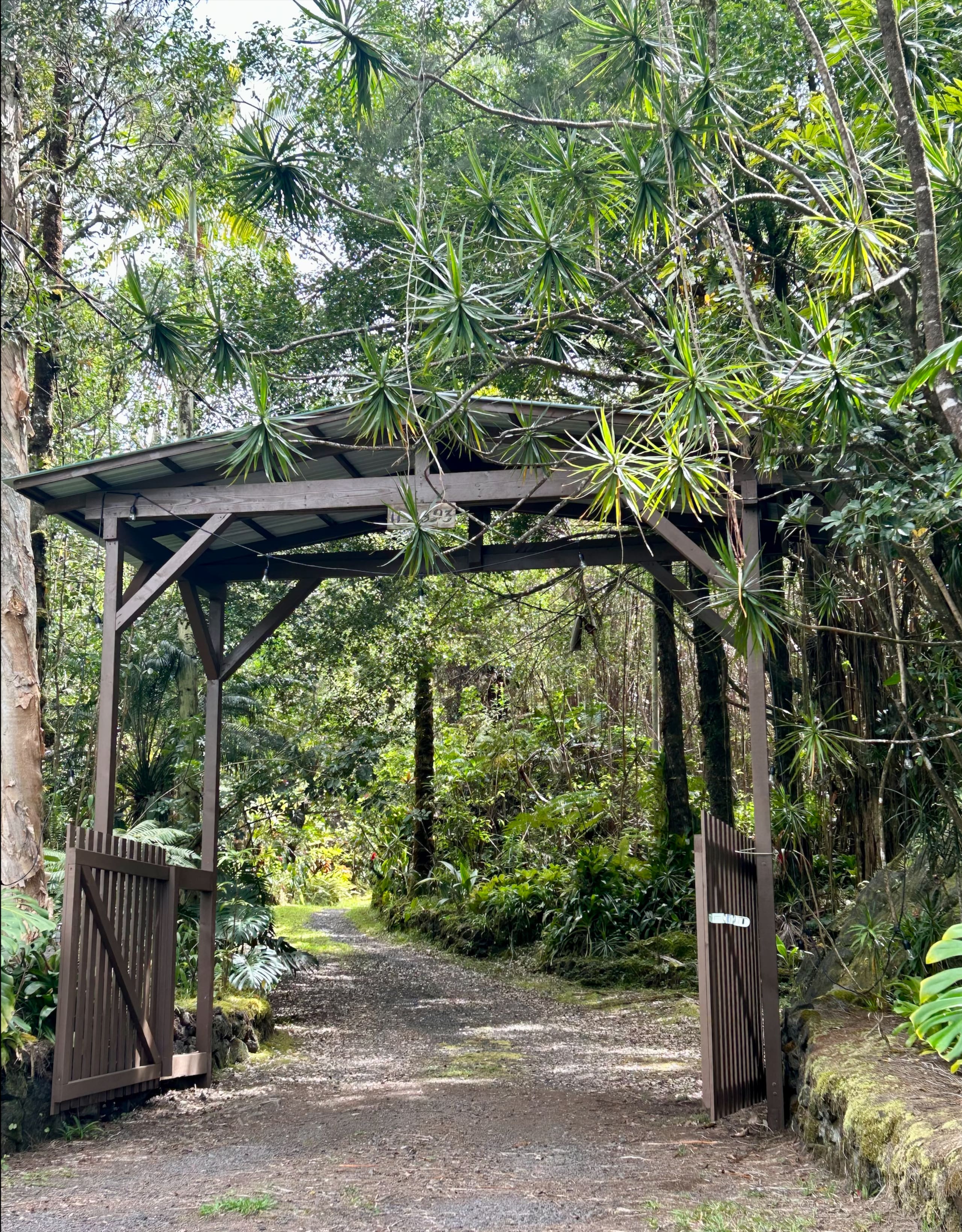 Rainforest Retreat Sun Cottage near Volcano Park - Photo 25