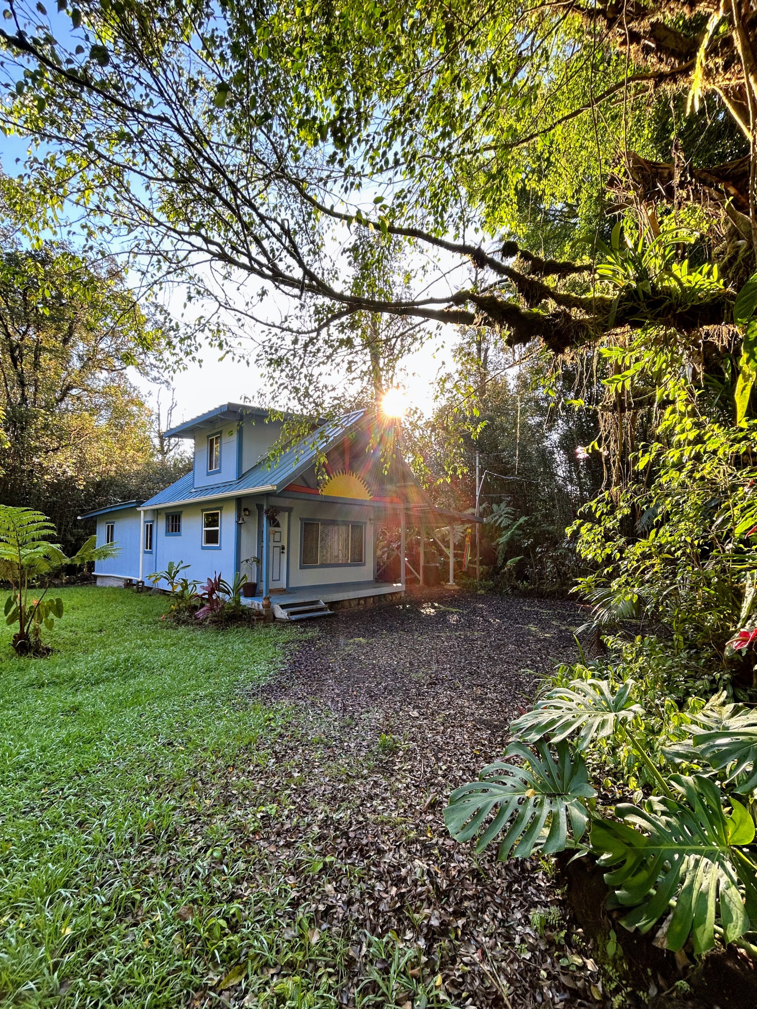 Rainforest Retreat Sun Cottage near Volcano Park - Photo 32