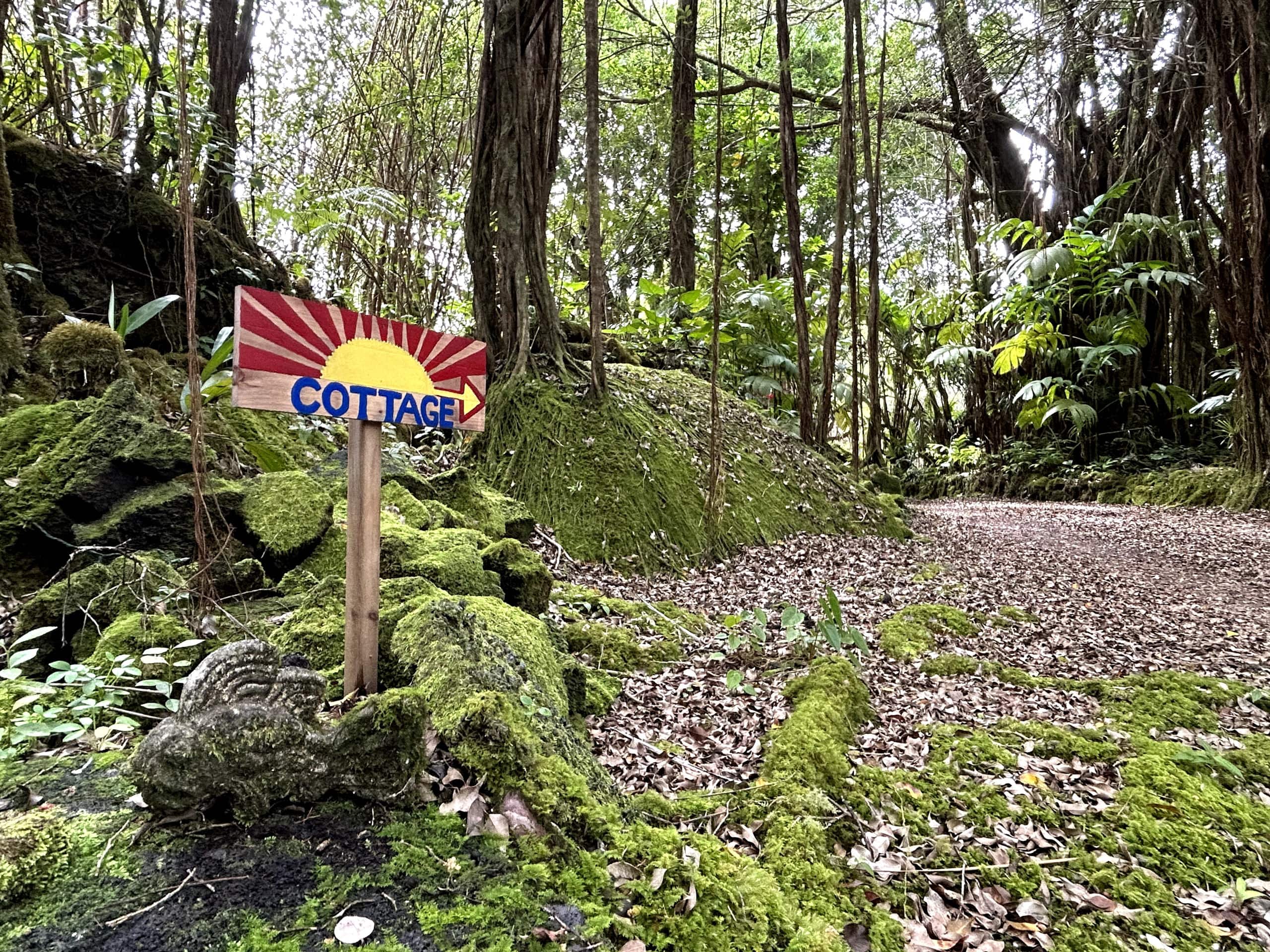 Rainforest Retreat Sun Cottage near Volcano Park - Photo 27