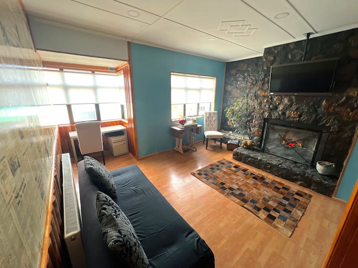 Incredible Downtown Duplex With Interior Backyard - Punta Arenas