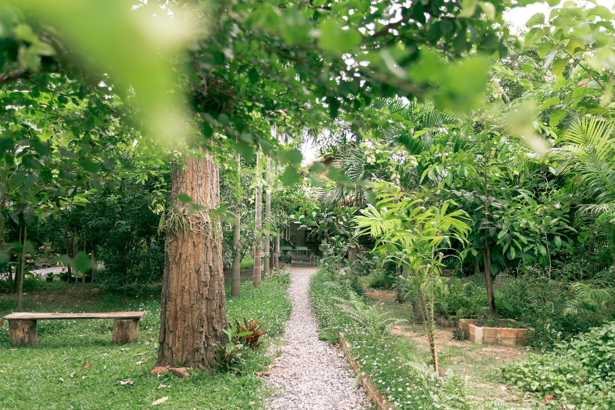 A peaceful garden path is surrounded by lush greenery, leading through a verdant landscape. Tall trees and various plants create a natural canopy overhead, while a gravel pathway meanders gently, inviting leisurely strolls through the serene environment.