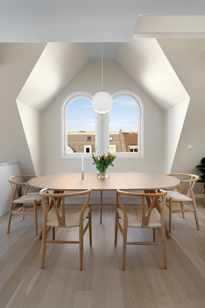 Amazing nice penthouse apartment with private roof terrace