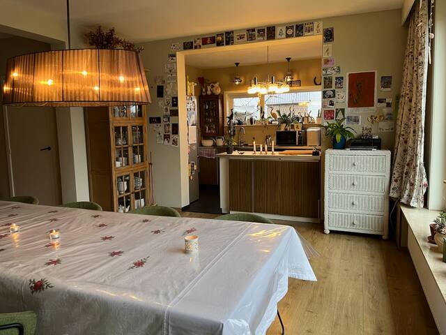 Gezellig ruim huis vlakbij Gent gallery image 4