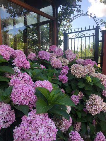 Şile Sahilköy’de eşsiz deniz manzaralı villa gallery image 5