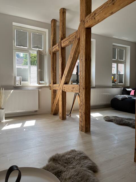 Unique studio apartment in Blankenburg (Harz)
