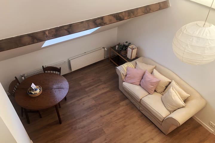 Chambre D’hôtes (Quartier Européen/cinquantenaire) - Etterbeek