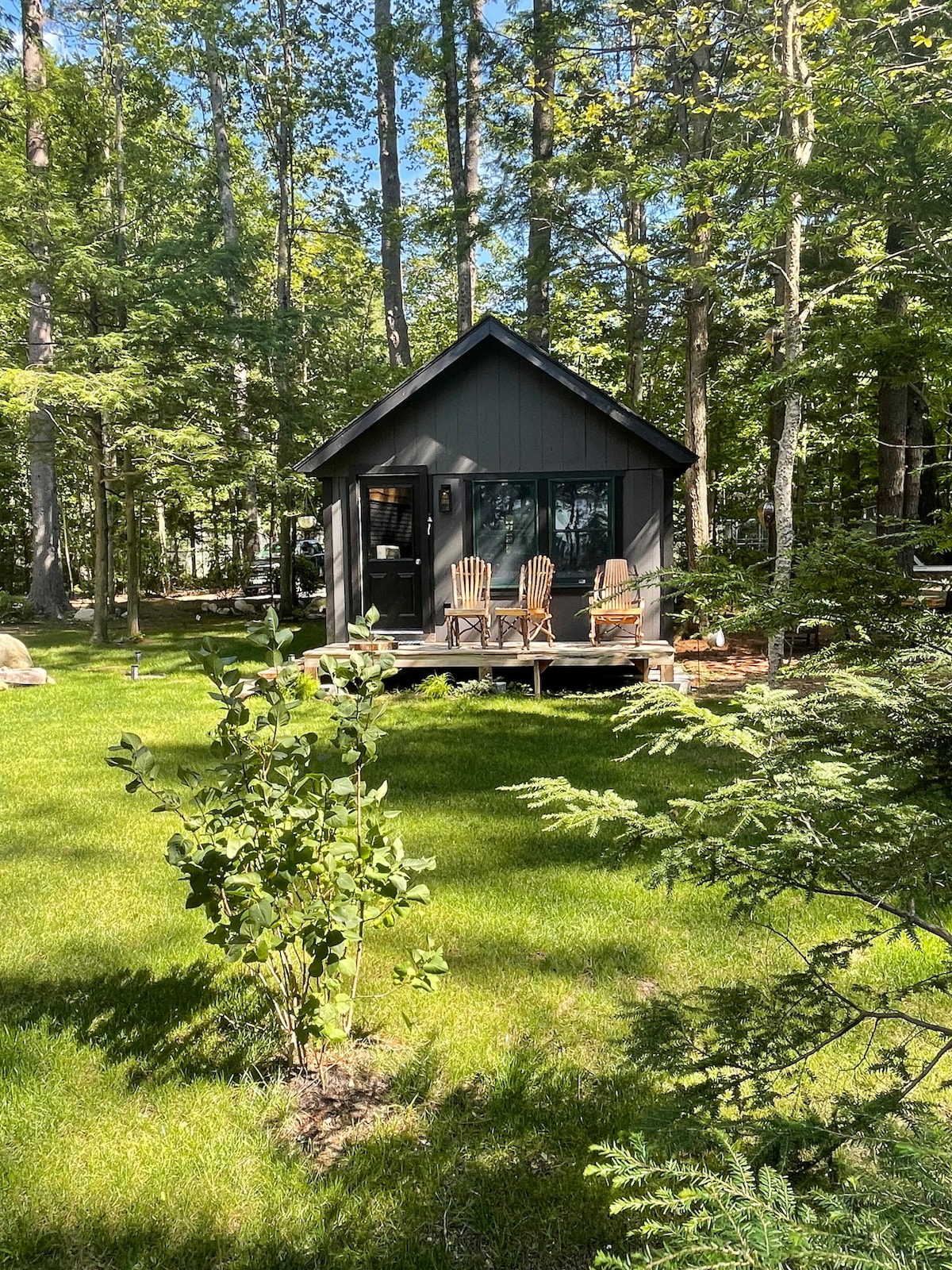 A small, charming cabin is situated among lush greenery, featuring a spacious deck with two adirondack chairs. Tall trees provide a natural backdrop, while the well-maintained lawn creates a serene outdoor setting.