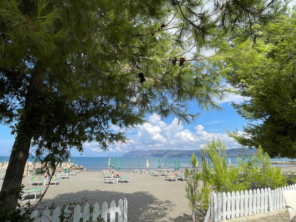 A serene view showcases a sandy beach under a clear blue sky, framed by lush green trees. Sun loungers and umbrellas are positioned along the shore, offering a relaxing atmosphere. The ocean waves gently lap against the beach in the background, enhancing the peaceful setting.