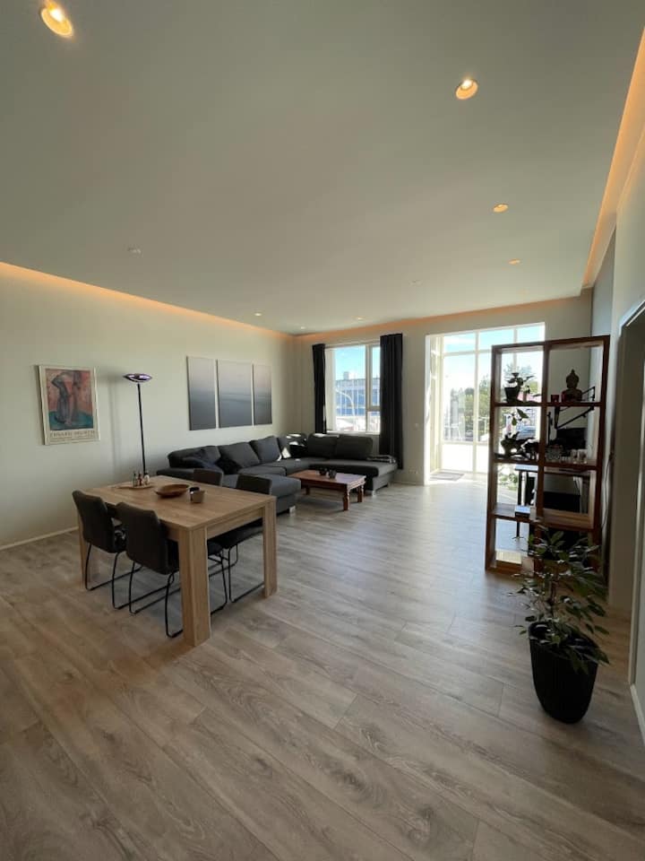 New and spacious 1bedroom condo in Reykjavik Condominiums for Rent