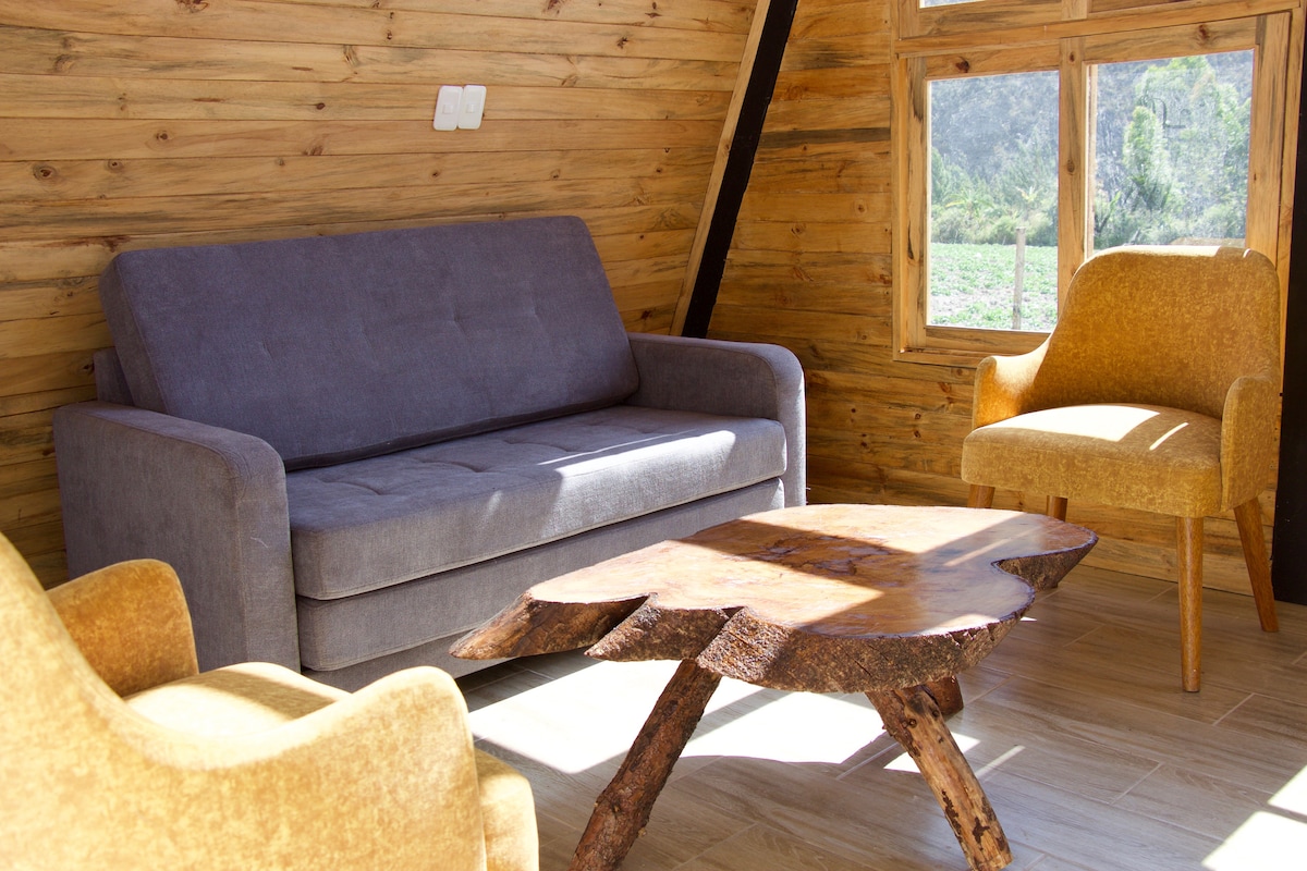 غرفة المعيشة