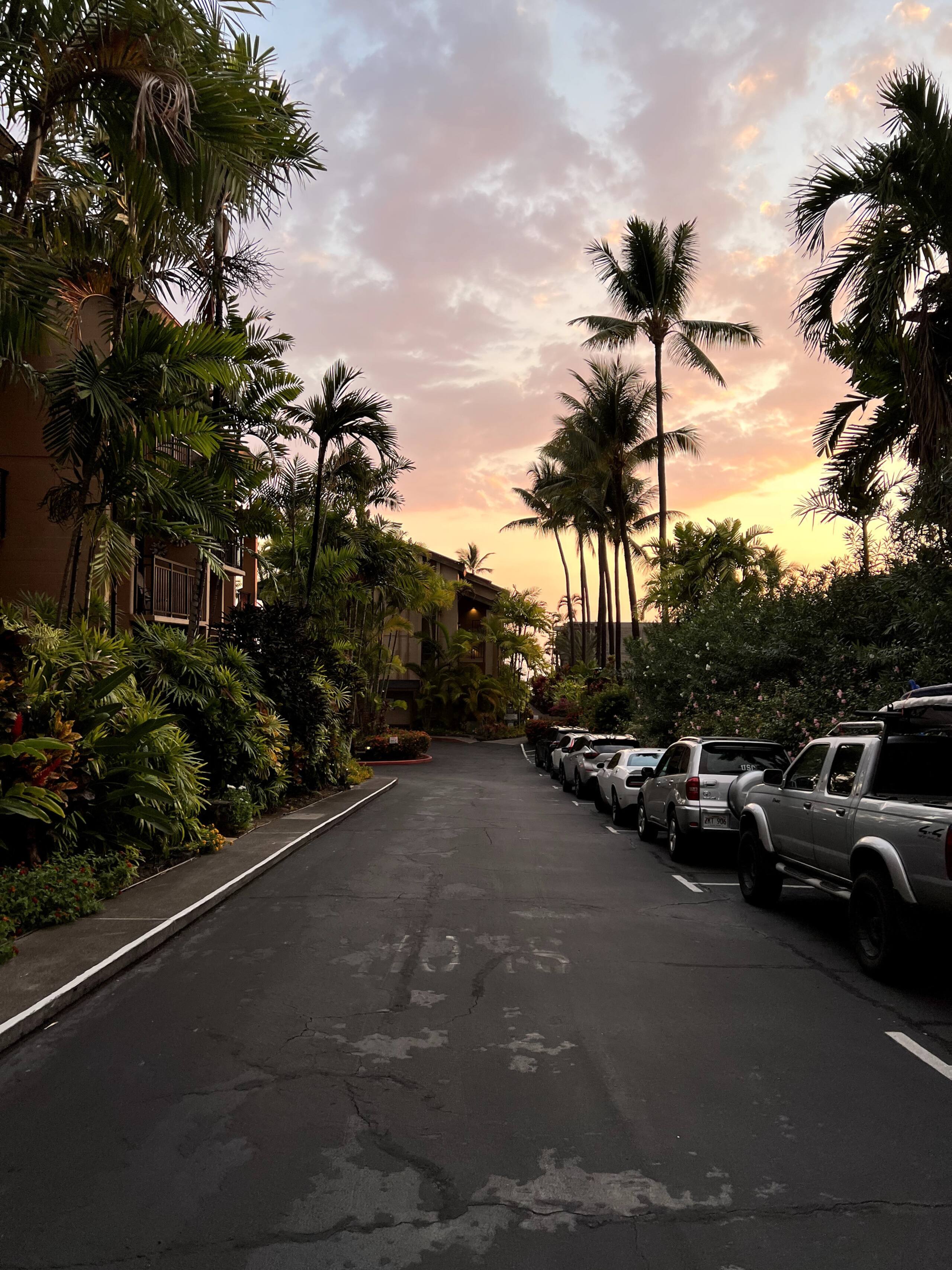 Condo in Kailua-Kona · ★4.81 · 1 bedroom · 1 bed · 1 private bath - Image 29