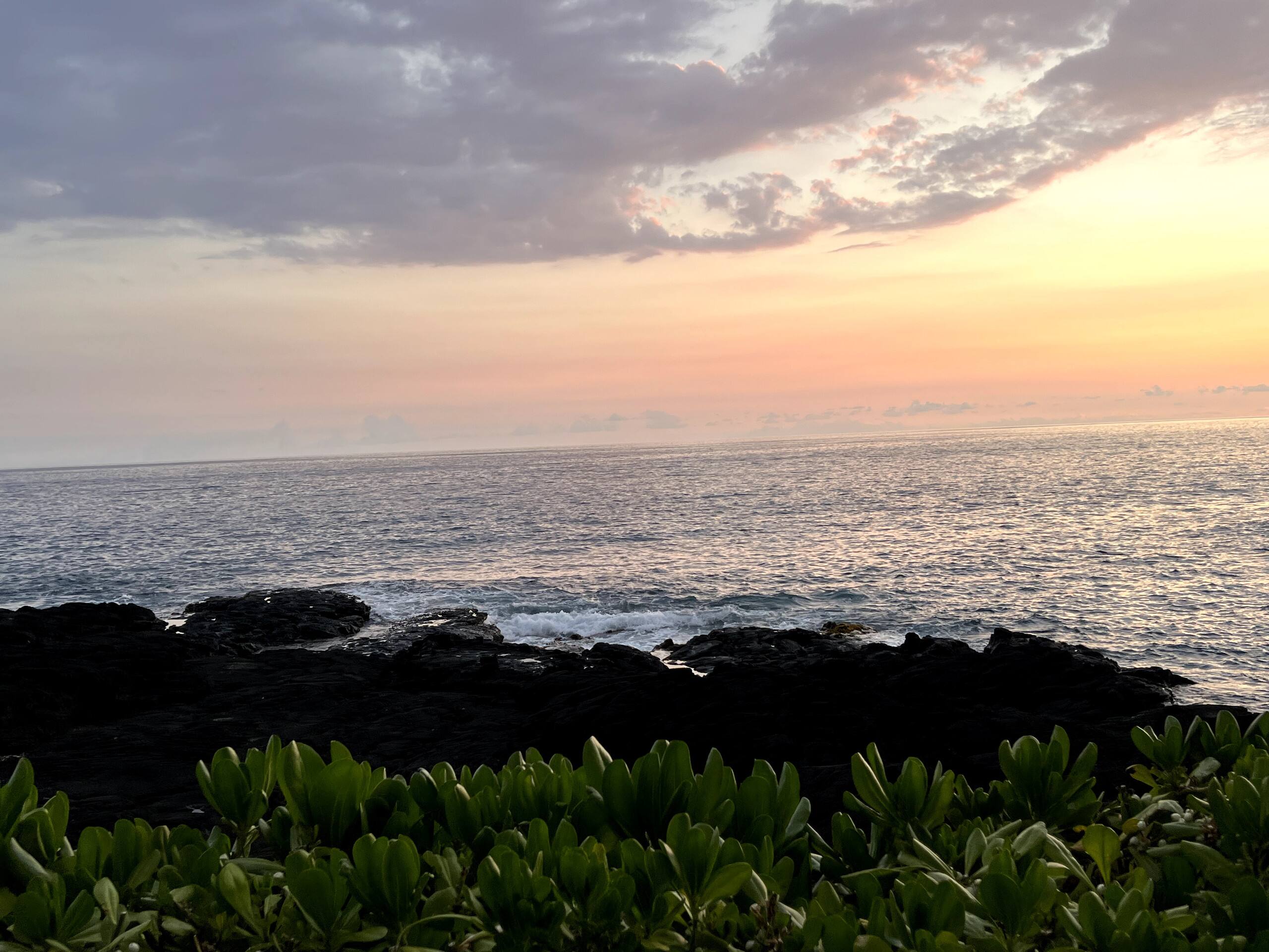 Condo in Kailua-Kona · ★4.81 · 1 bedroom · 1 bed · 1 private bath - Image 28