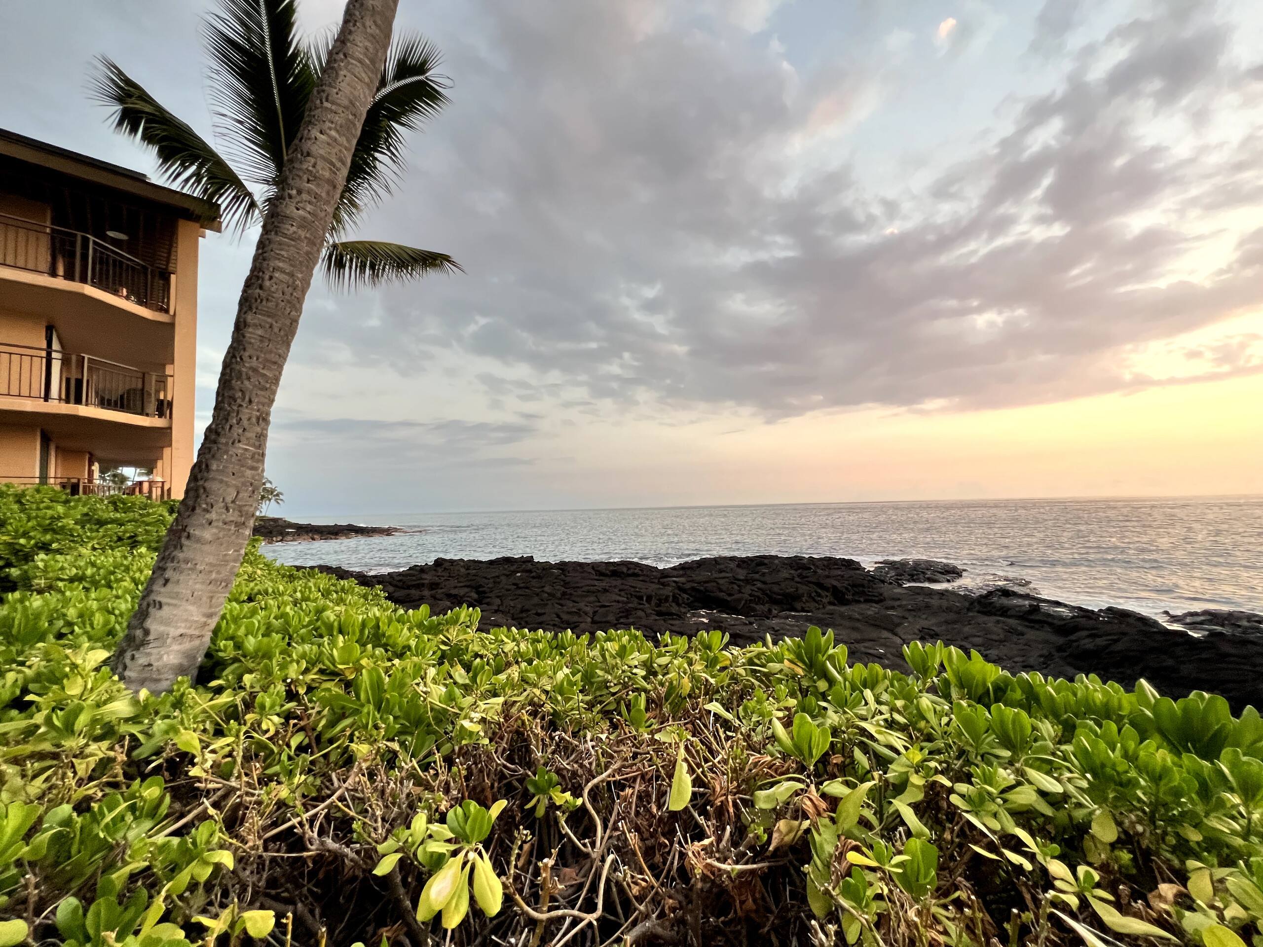 Condo in Kailua-Kona · ★4.81 · 1 bedroom · 1 bed · 1 private bath - Image 30