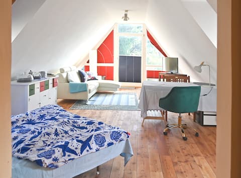 Private room in
'VILLA RIES'