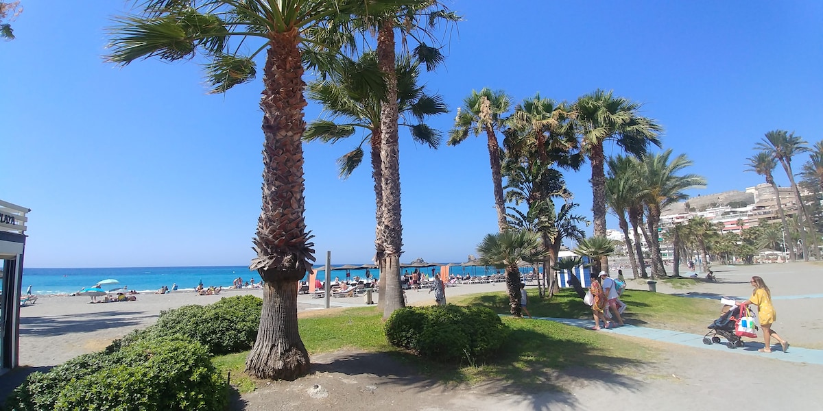 A sunny beach scene features swaying palm trees lining a sandy shore. Sunbathers and umbrellas are scattered along the coast, with vibrant blue water in the background. Gentle waves can be seen lapping at the beach, creating a serene atmosphere.