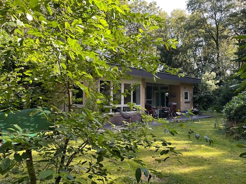 Relax in the forest house!