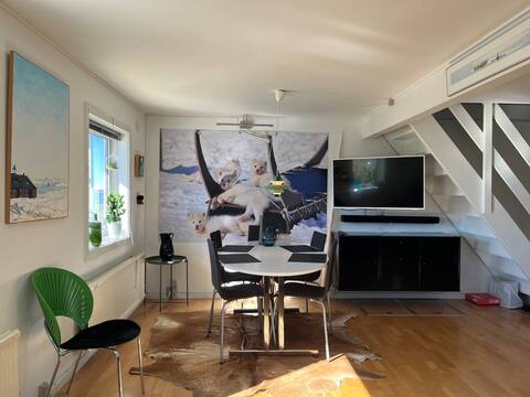 Small house in Nuuk, with great views.