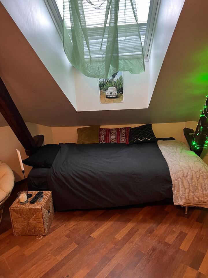 Cosy room in an autentic Oslo apartment Apartments for Rent in Gamle