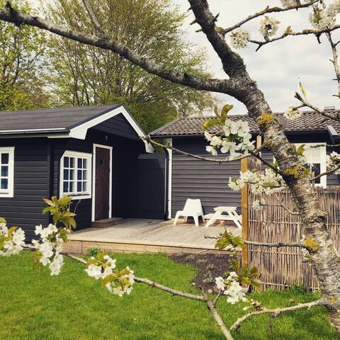 Nice holiday cottage with lovely surroundings