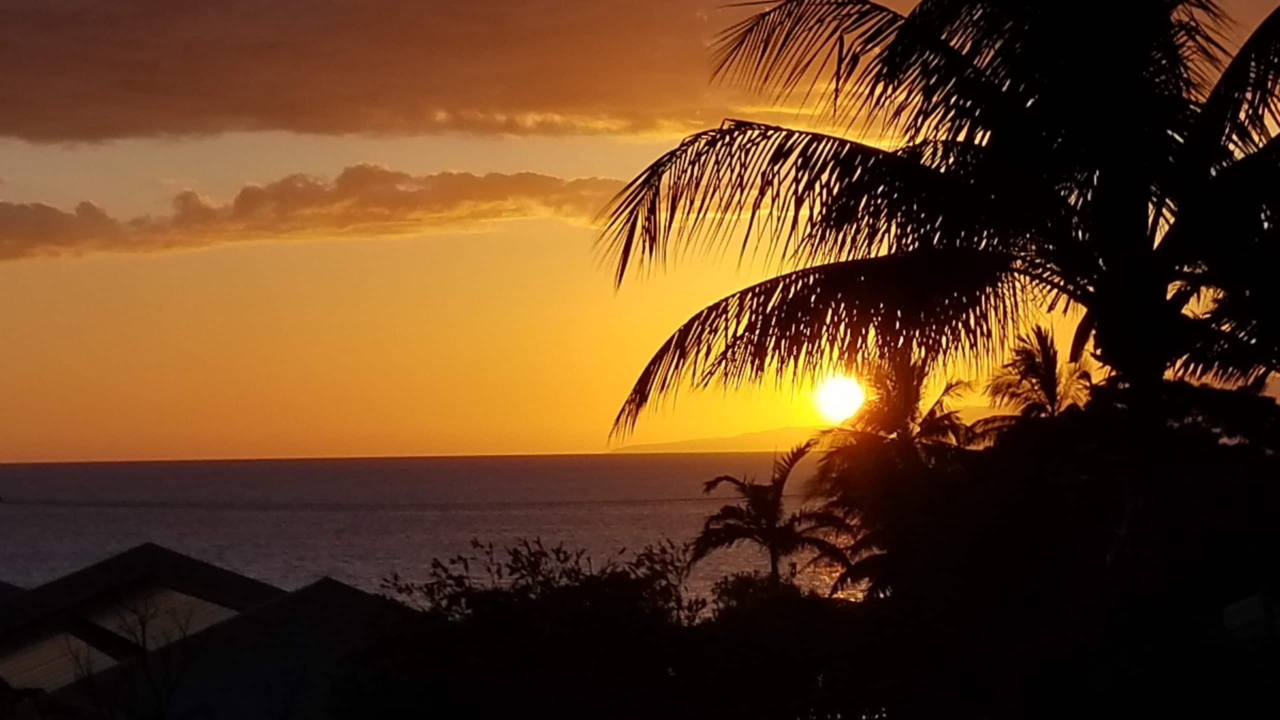 Condo in Kihei · ★4.9 · 1 bedroom · 1 bed · 2 baths - Image 35
