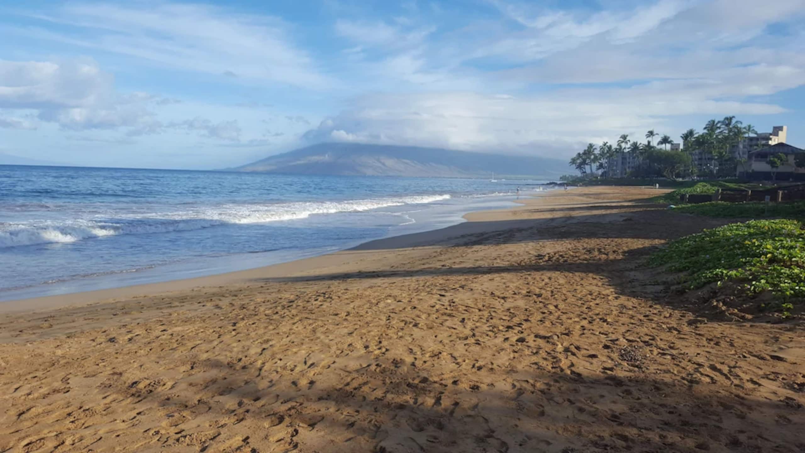 Condo in Kihei · ★4.9 · 1 bedroom · 1 bed · 2 baths - Image 46