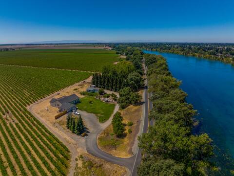 Vineyard Vistas: Sip, Stay, and Soak In Luxury