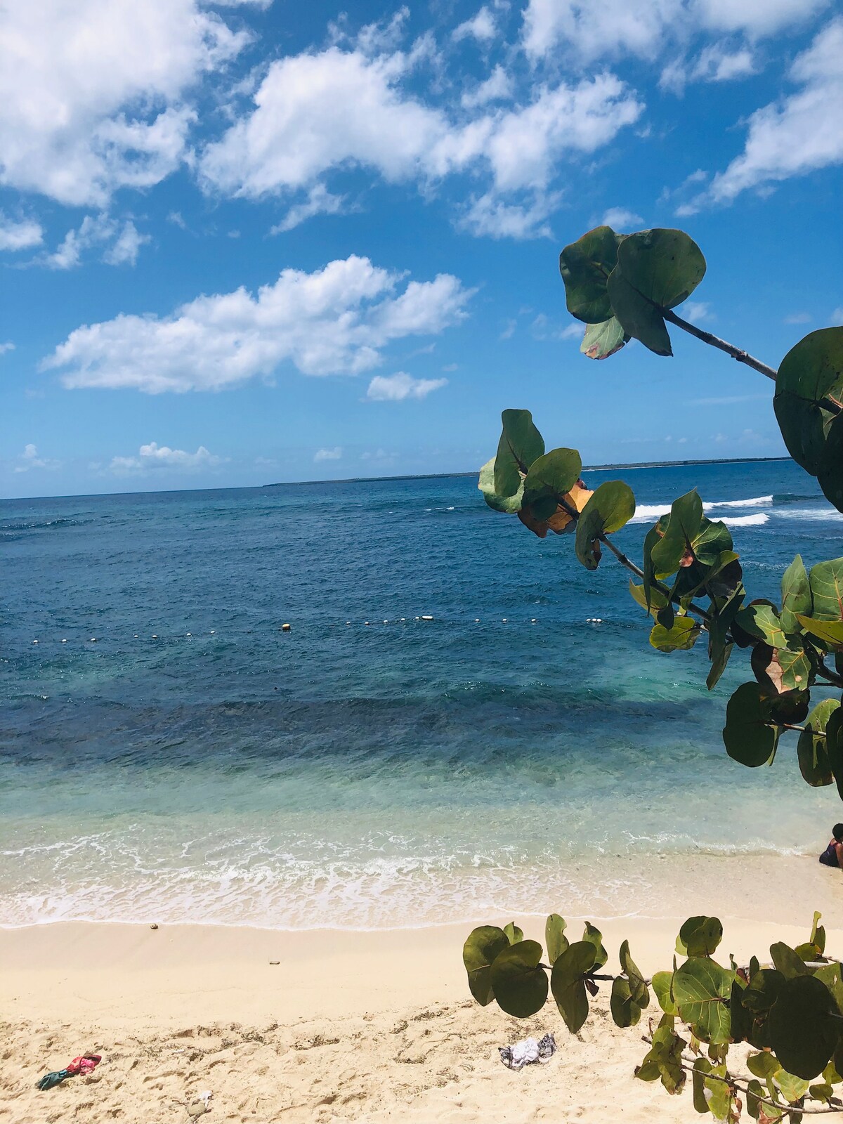 A calm beach scene is depicted, with soft sand meeting clear blue waters. Waves gently lap at the shore, while lush green foliage frames the image, adding a natural element. A few fluffy clouds drift in the bright sky above, enhancing the serene atmosphere.