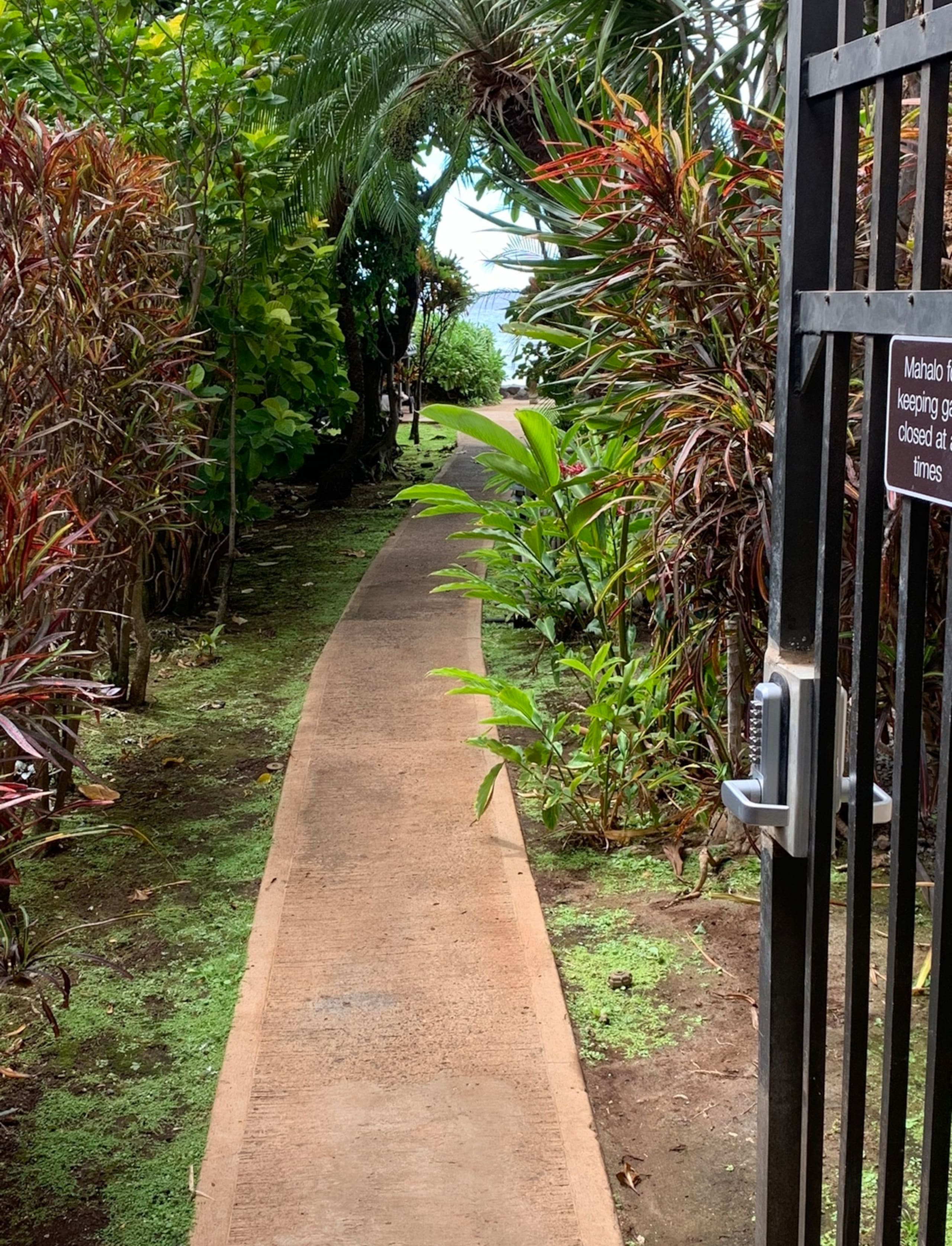 Marvelous Maui, Oceanfront Paradise! - Image 60