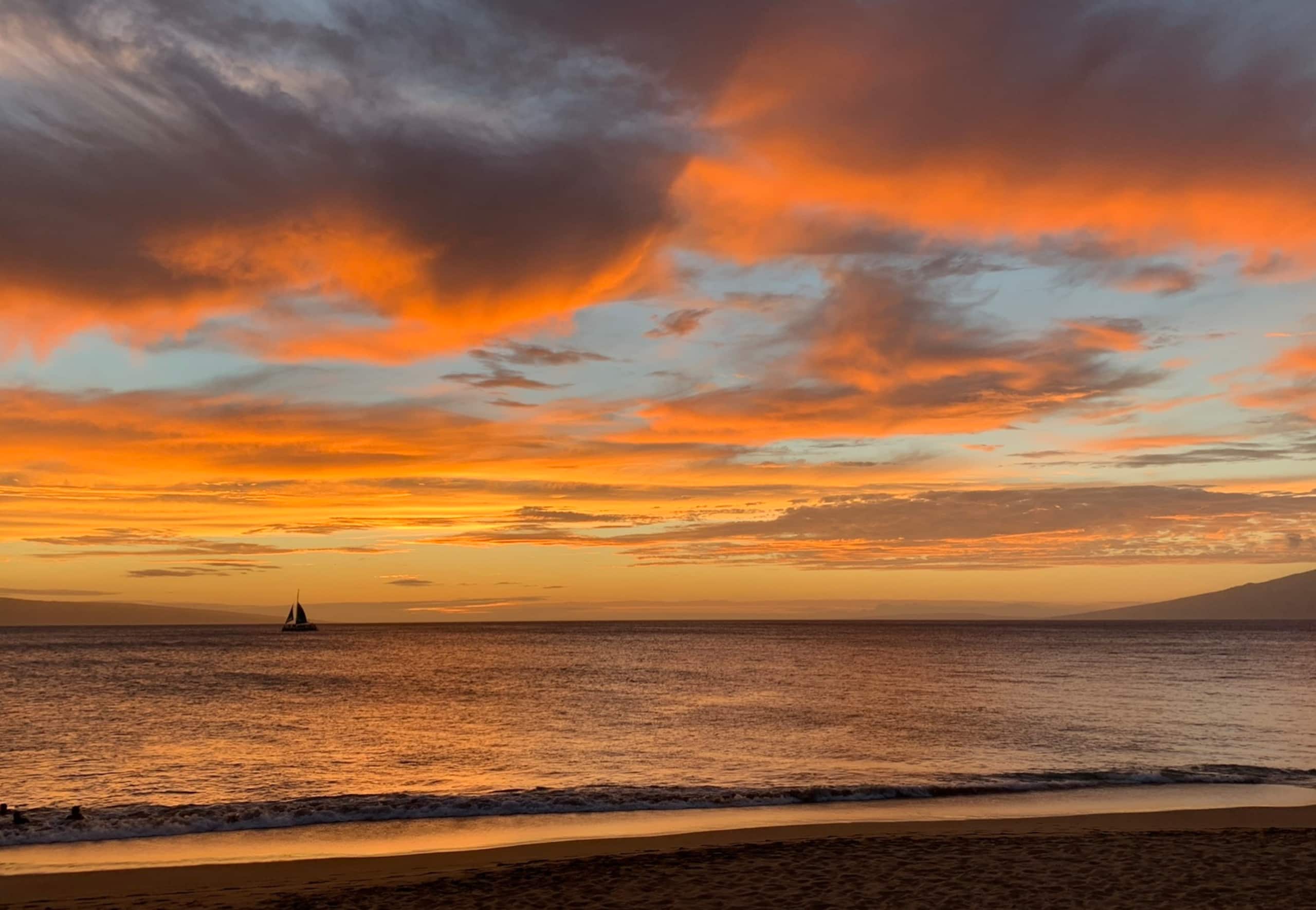 Marvelous Maui, Oceanfront Paradise! - Image 65