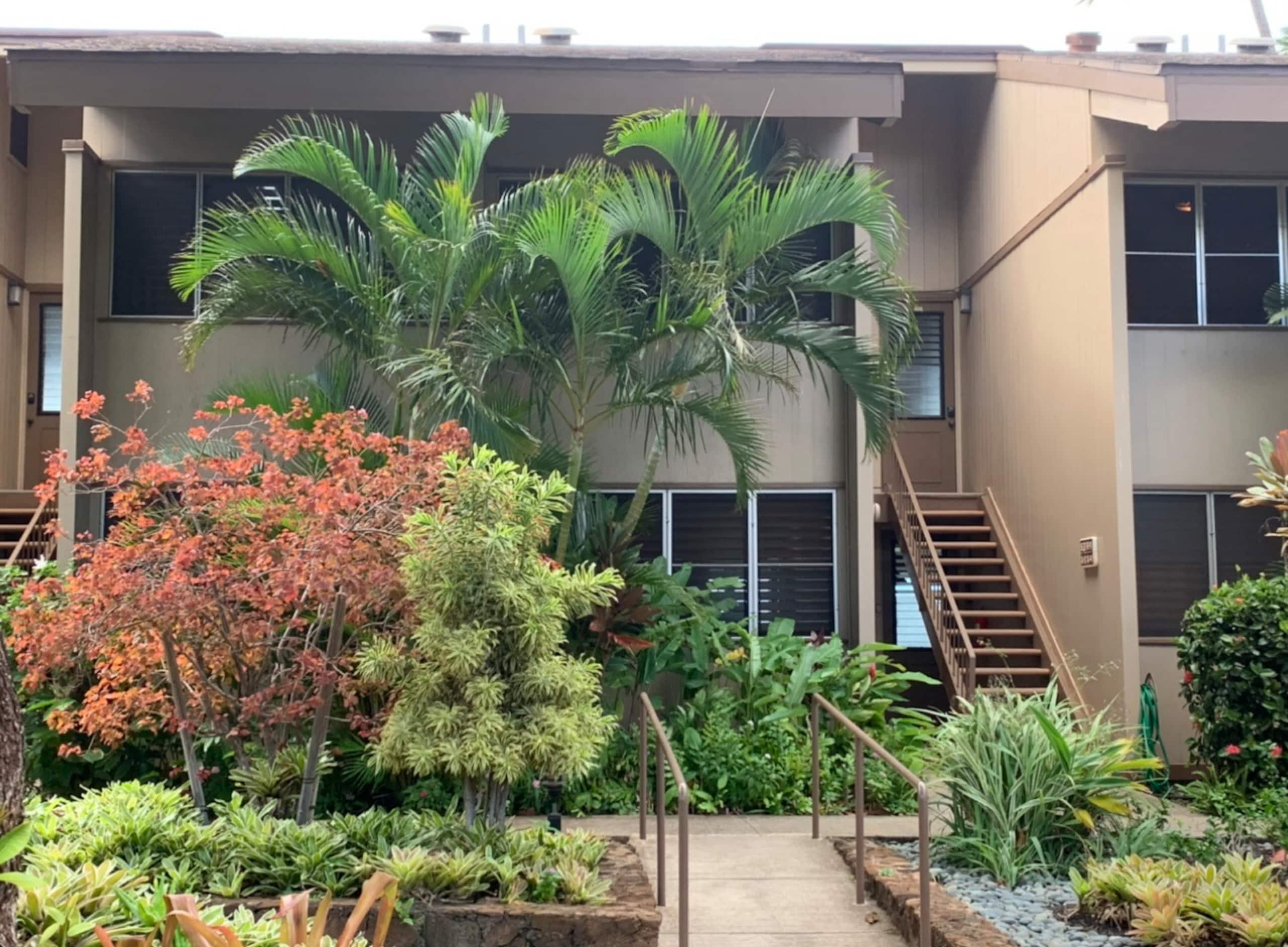 Marvelous Maui, Oceanfront Paradise! - Image 57