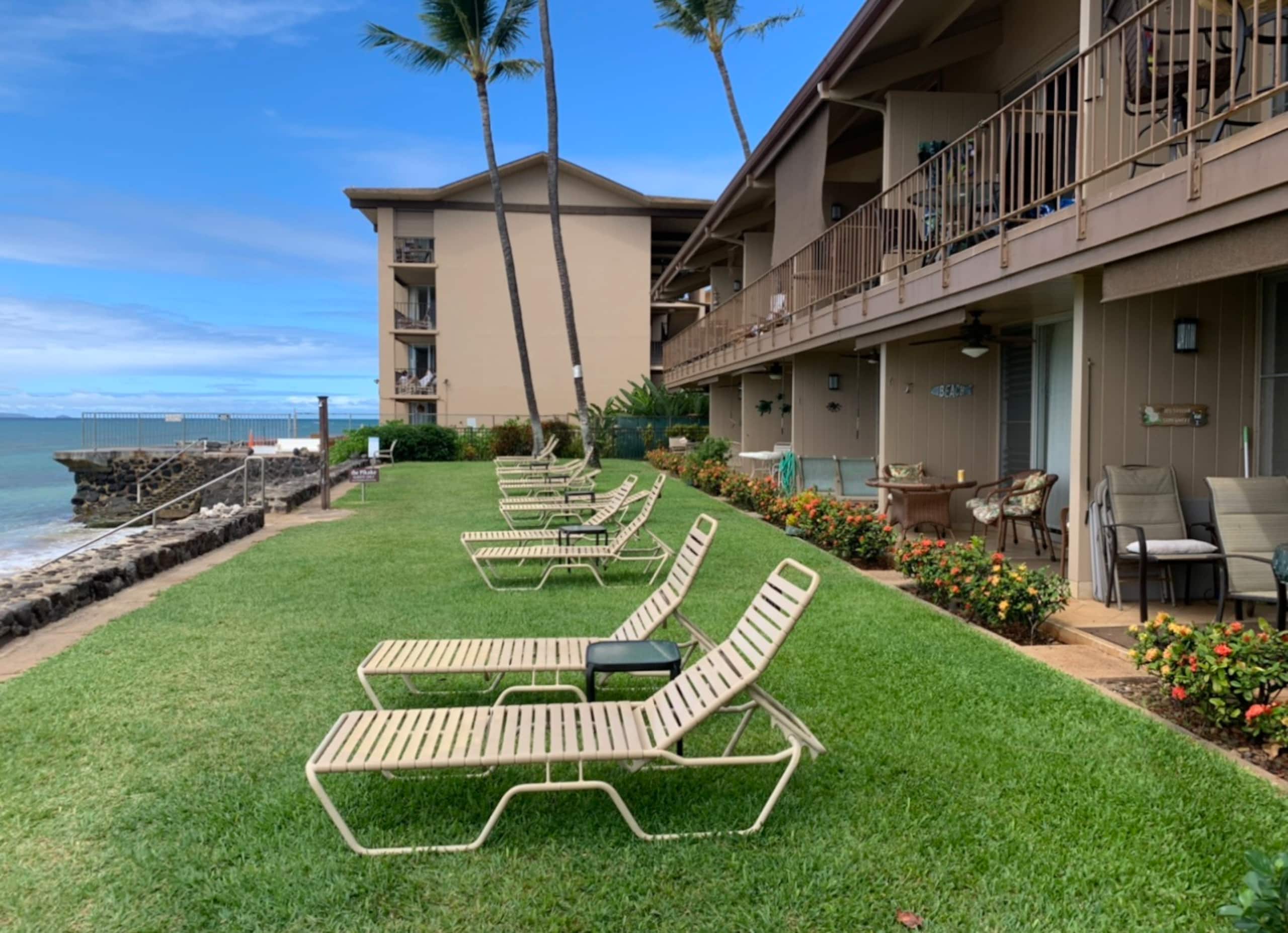 Marvelous Maui, Oceanfront Paradise! - Image 61