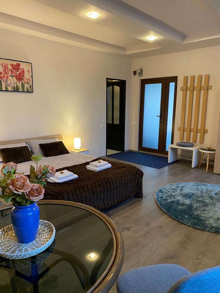 A modern sleeping area is presented with a spacious bed adorned in dark linens. Soft lighting is provided by a bedside lamp. A round blue rug adds a splash of color, while a small table with a floral arrangement is seen nearby. A coat rack and entrance are visible.