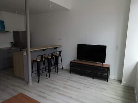 DOWNTOWN APARTMENT ON RUE PIETONNE.