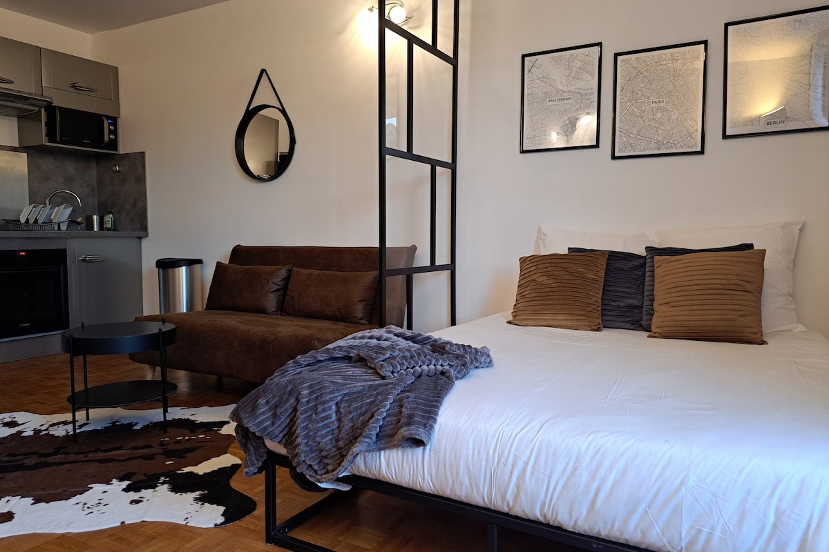 A studio apartment features a spacious bed with decorative pillows and a cozy throw. A brown sofa bed is positioned nearby, complemented by a modern side table. The walls display framed maps, while a circular mirror adds depth to the room's design. Kitchen amenities are visible in the background.