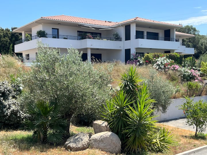 Superbe Appartement Avec Piscine à Porto-vecchio. - Santa Giulia