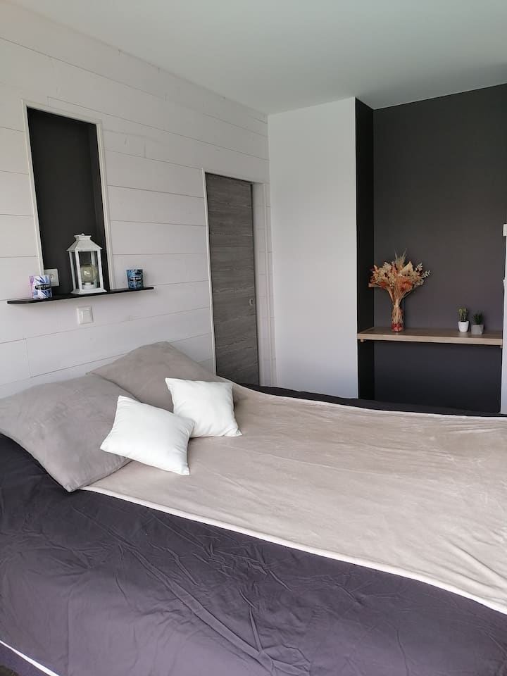 Habitación 2