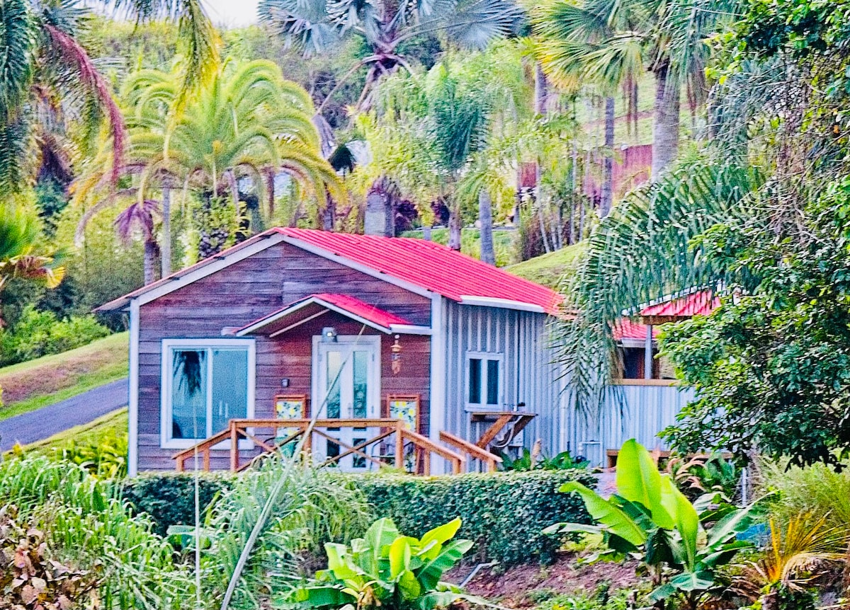 Aibonito Vacation Rentals and Homes photo