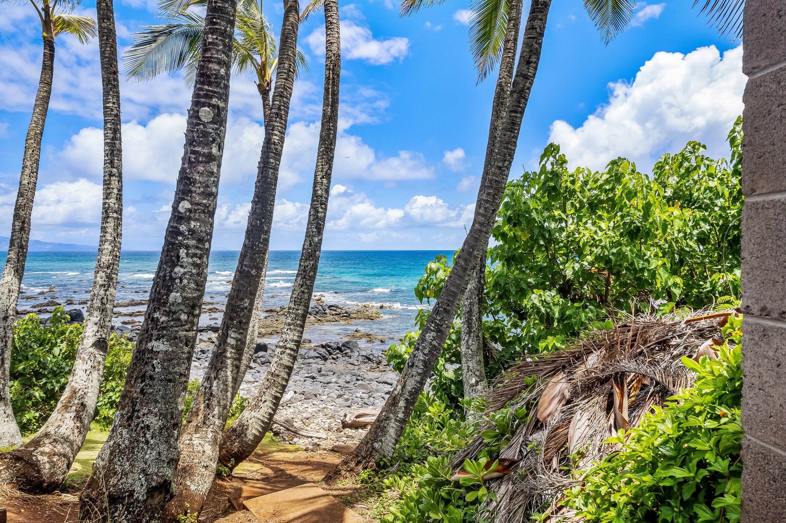 North Shore Maui. Kuau Studio by the beach - Image 29