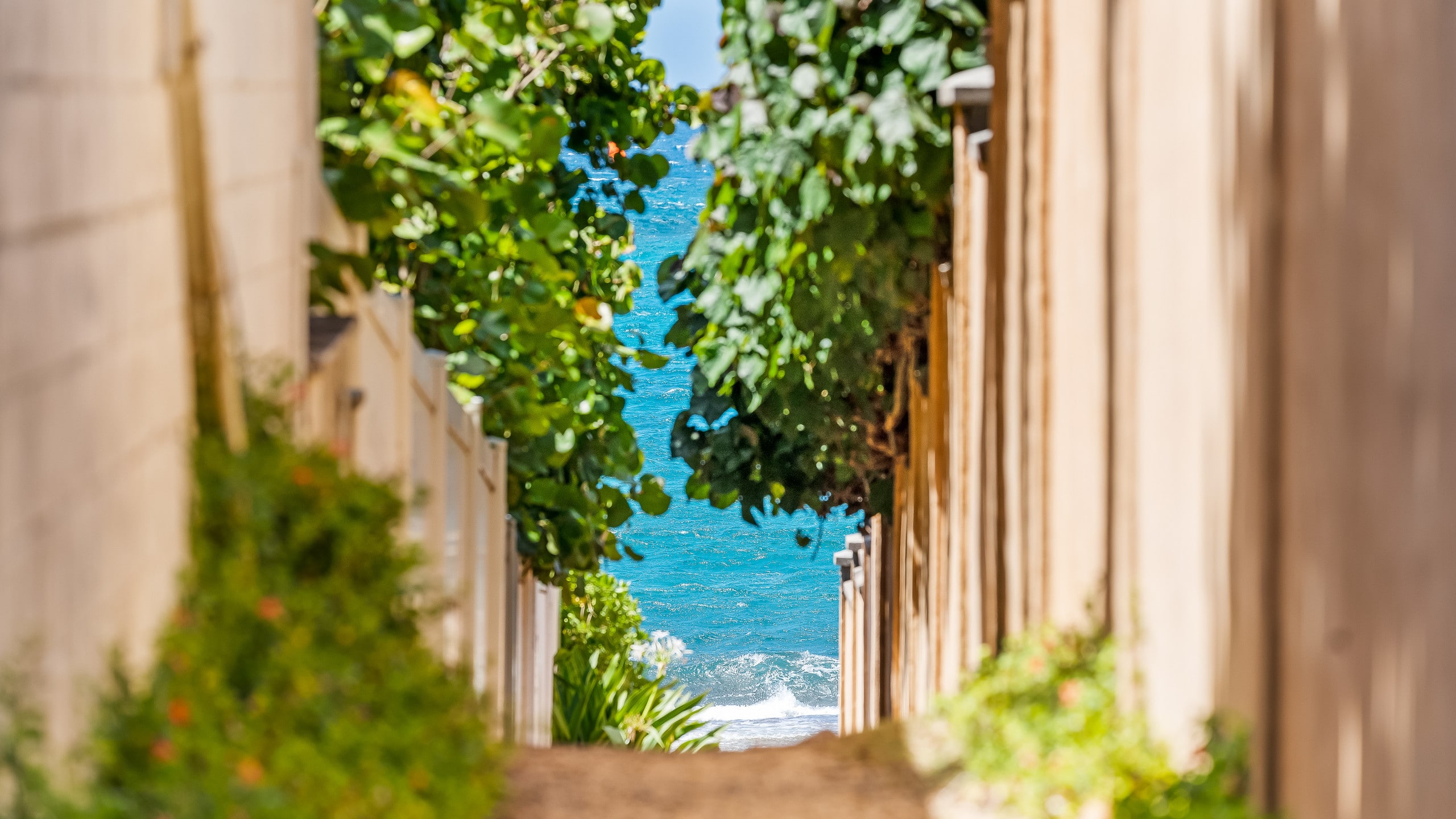 North Shore Maui. Kuau Studio by the beach - Image 21