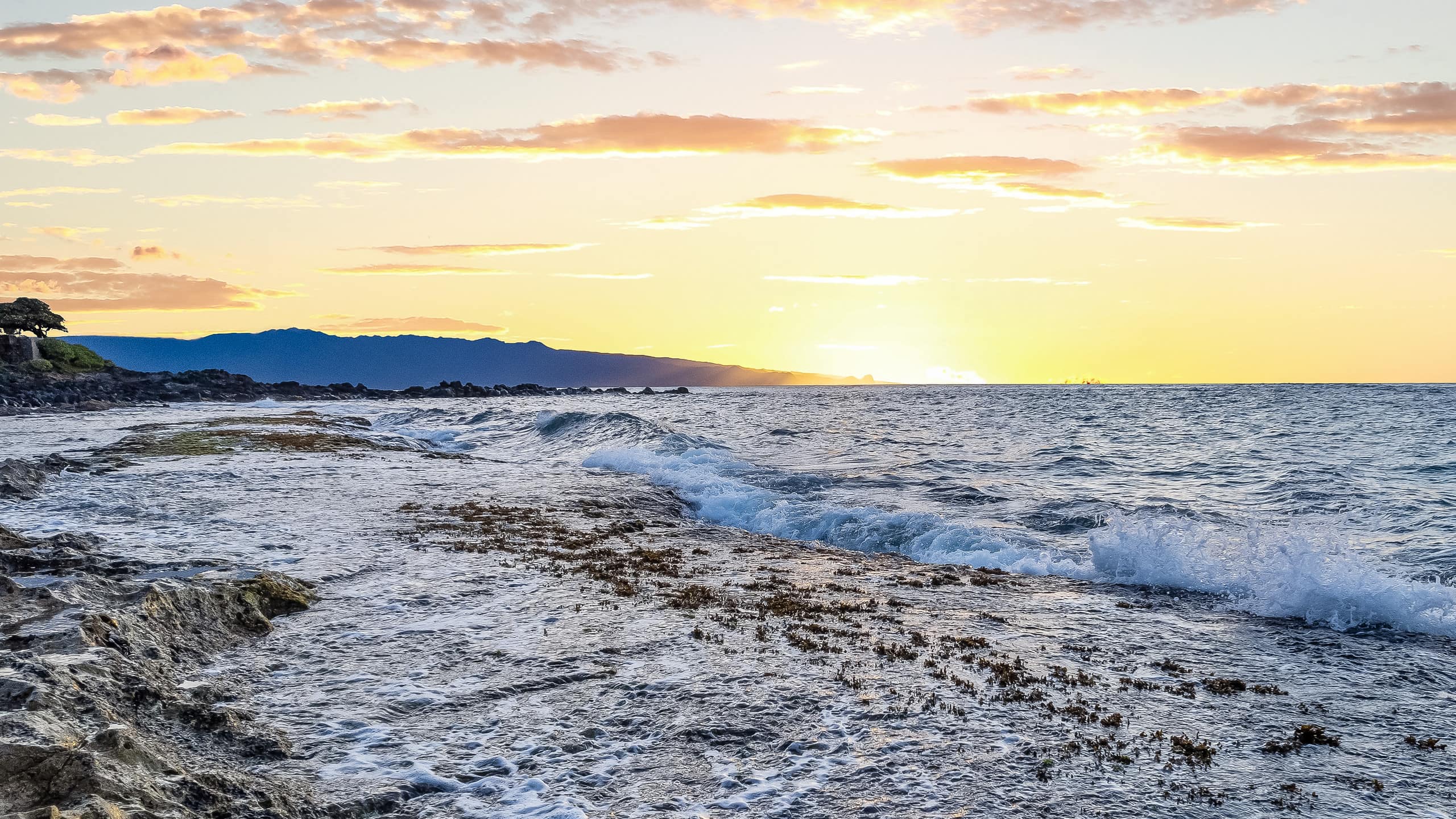 North Shore Maui. Kuau Studio by the beach - Image 26