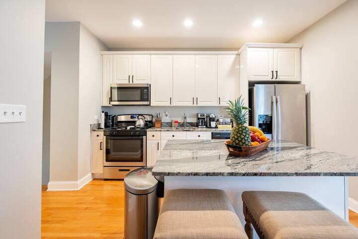 Old Town/Lincoln Park Luxury Home Garage & Rooftop gallery image 5