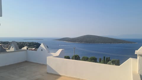 Bodrum House with an Amazing View